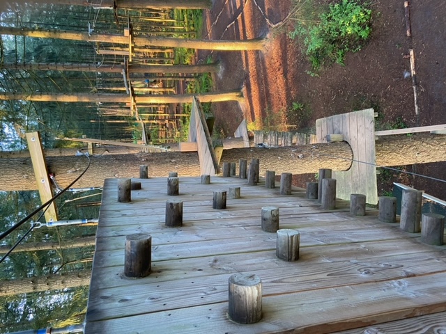 Dauwklimmen
