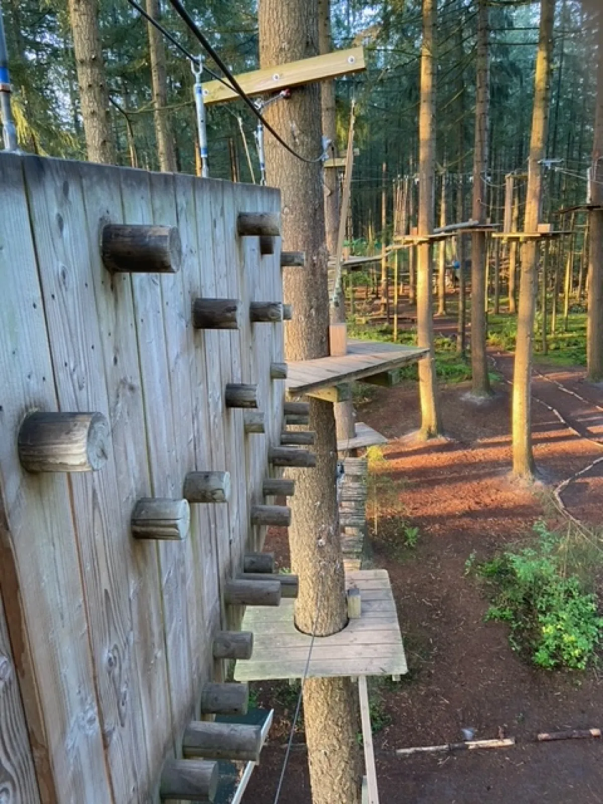 Dauwklimmen